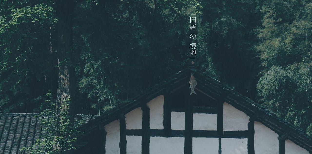 燃烧吧大脑装瓶子游戏