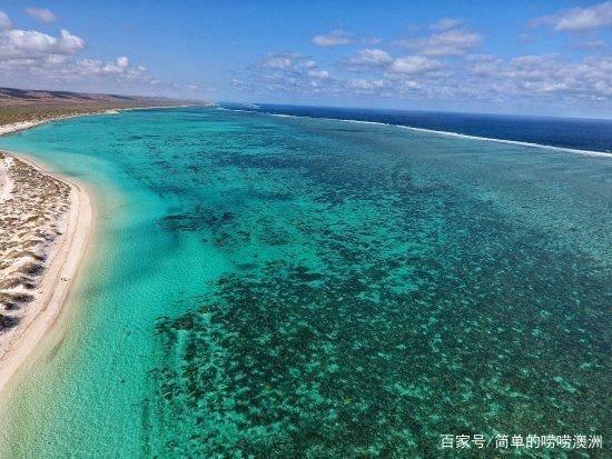 海归“银川娃”搏浪数字大潮